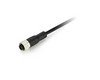 Connection Cable M12 Power Straight 5m | Nanotec