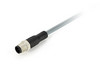 Connection Cable M12 CAN out Straight 2m | Nanotec