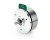 flat outer rotor brushless dc motor, Nanotec dfa 90 mm